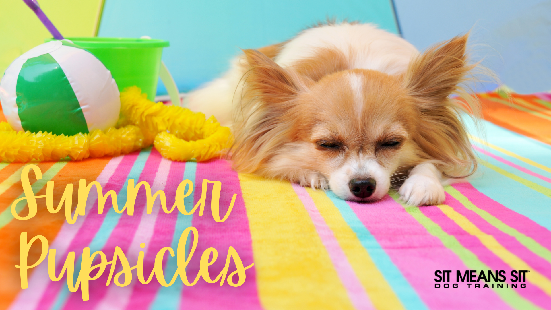 summer popsicles with a dog sleeping on a summer beach mat poster