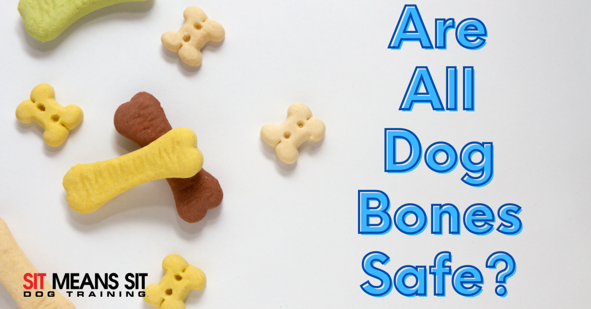 are all dog bones safe with dog toy bones on a poster