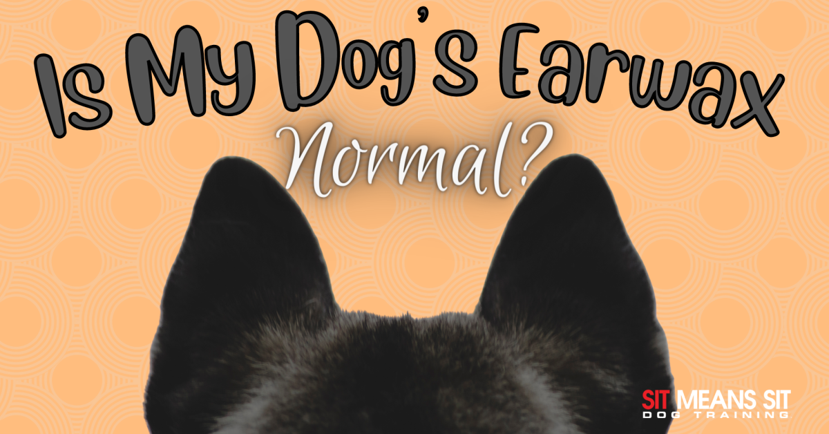 is my dog's earwax normal with a dog's ears on the poster