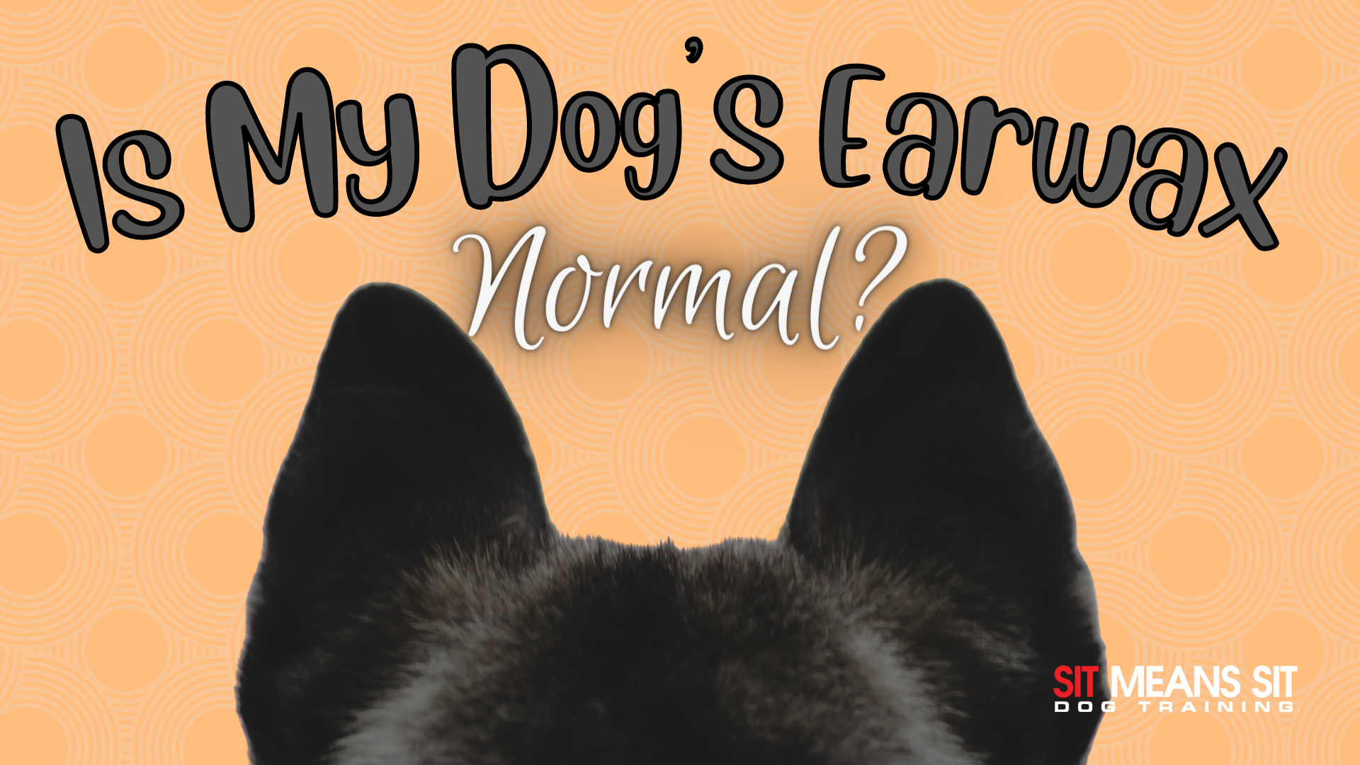 is my dog's earwax normal with a dog's ears on the poster