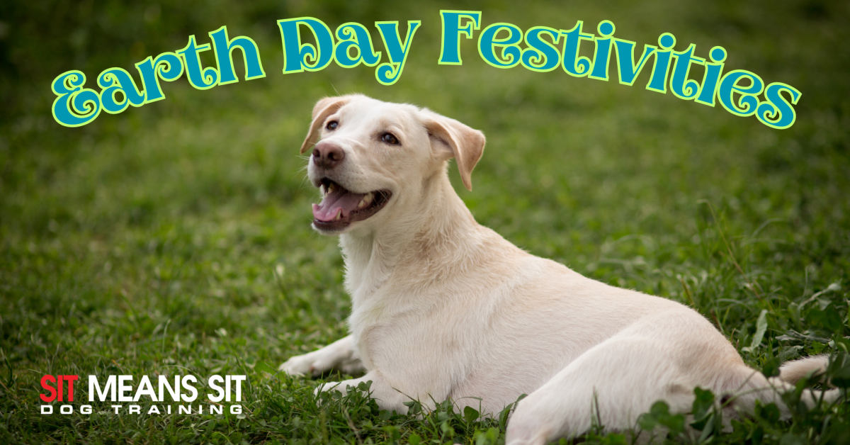 earth day festivities poster with a happy dog sitting on grass posing for a photo