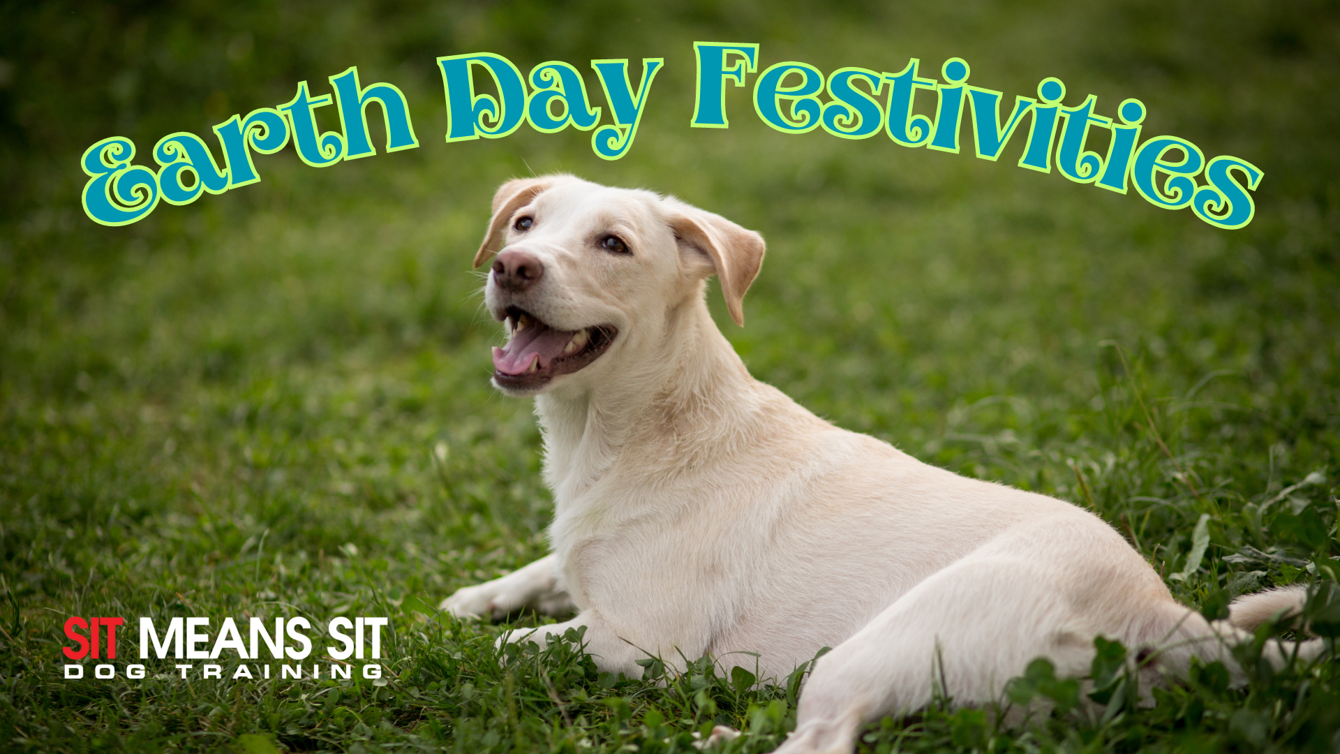 earth day festivities poster with a happy dog sitting on grass posing for a photo