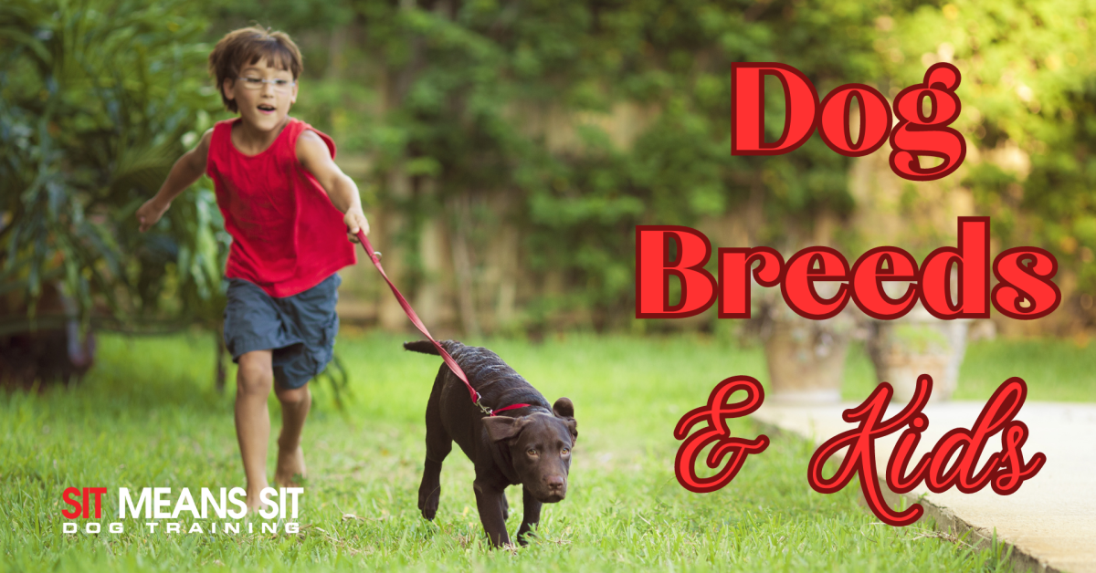 dog breeds that are great around kids add poster with a kid and a dog running together