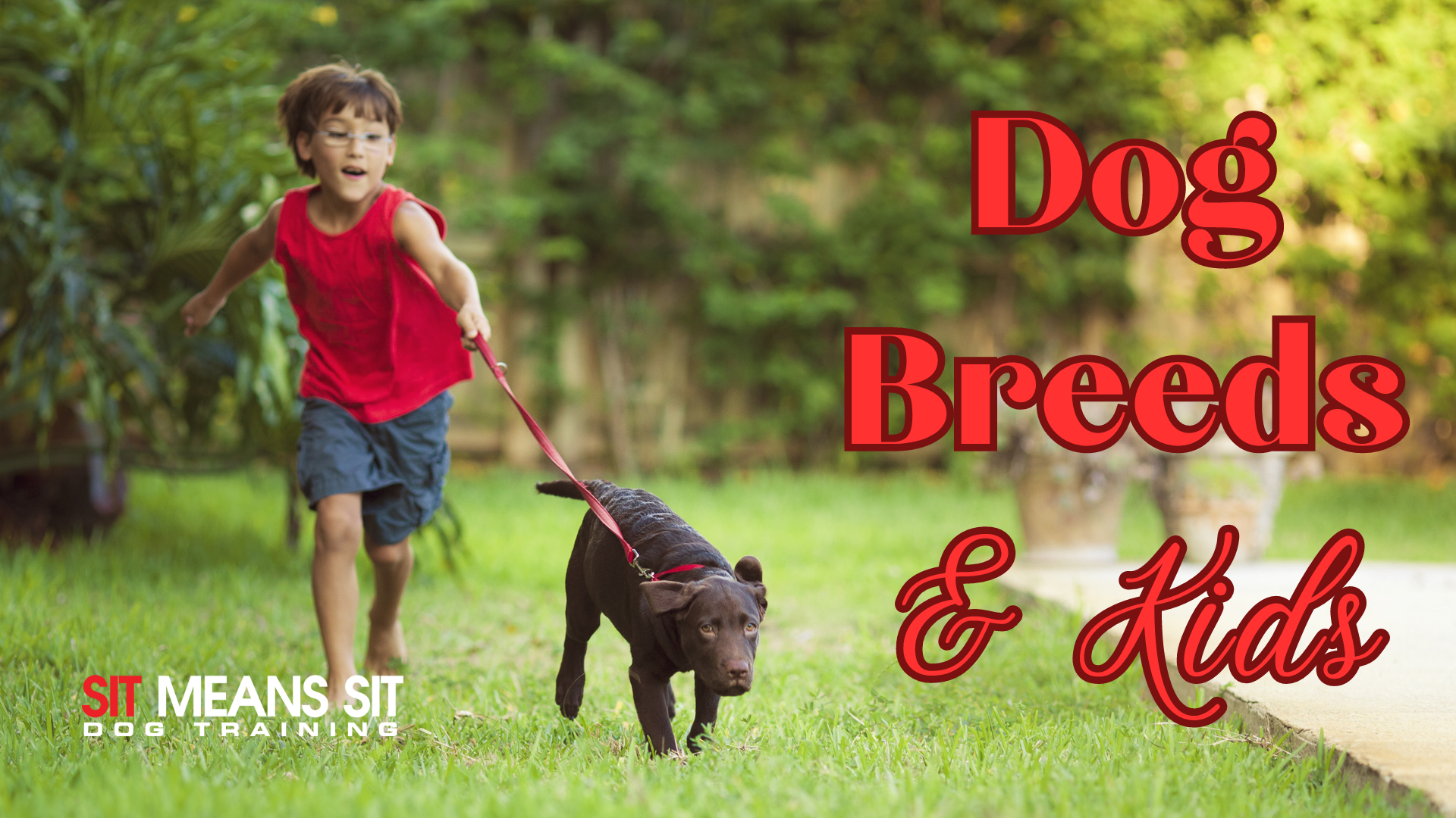dog breeds that are great around kids add poster with a kid and a dog running together