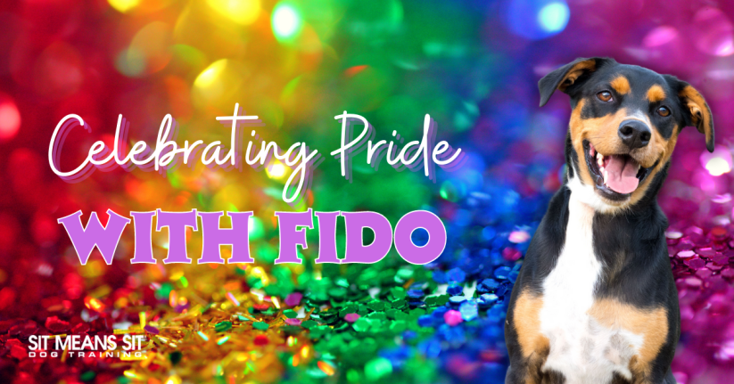 Celebrating Pride Month with your pup!