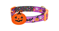 Blueberry Pet Halloween Pumpkin Party Designer Adjustable Dog Collar with Detachable Decoration