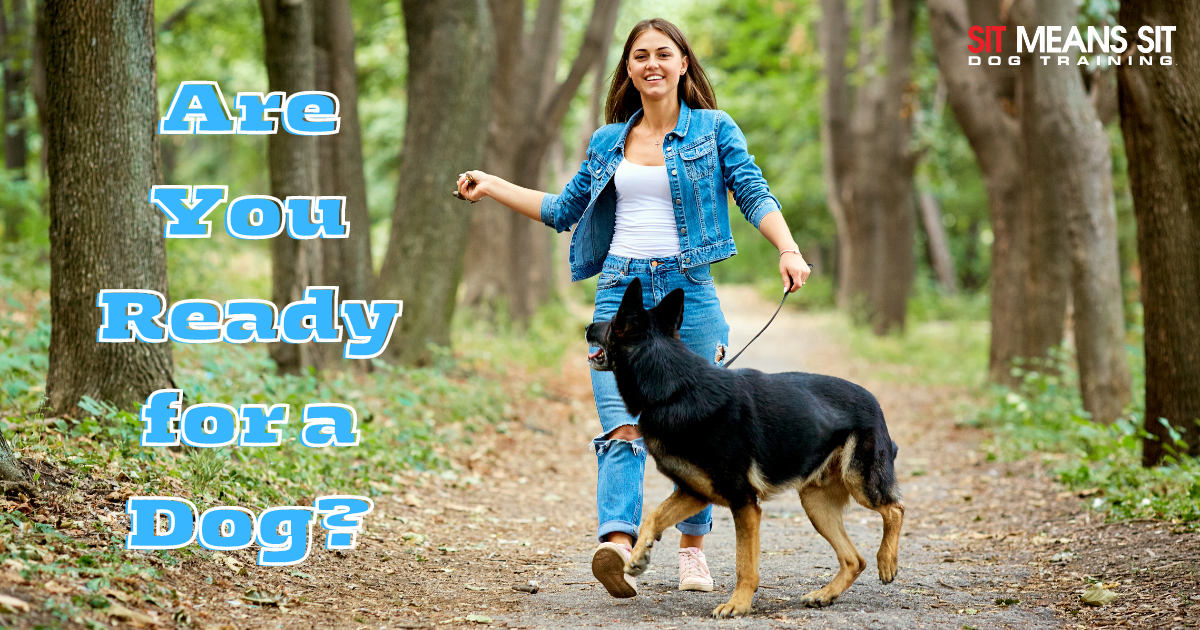 Are You Ready for a Dog?