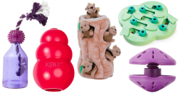 The Best Treat Dispensing Toys for Dogs