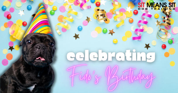 Tips for Throwing Fido a Birthday Party