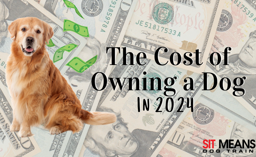 From Kibble to Vet Visits: The Cost of Owning a Dog in 2024