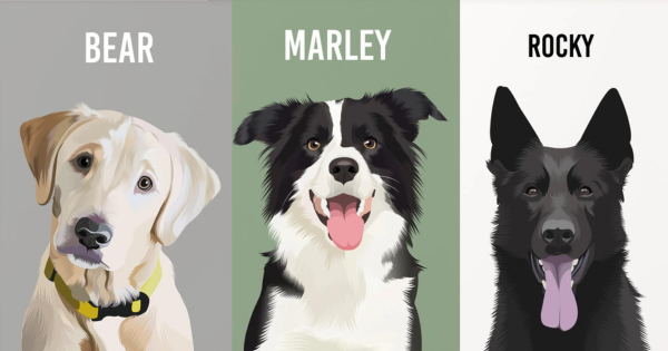 Explore these custom pet portraits on Etsy