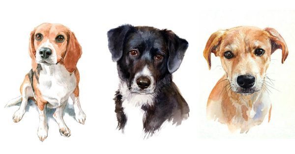 Explore these custom pet portraits on Etsy