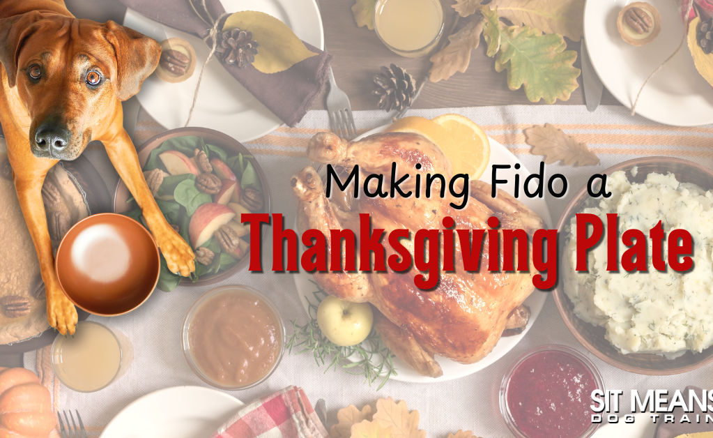How to Build Fido Their Own Thanksgiving Plate