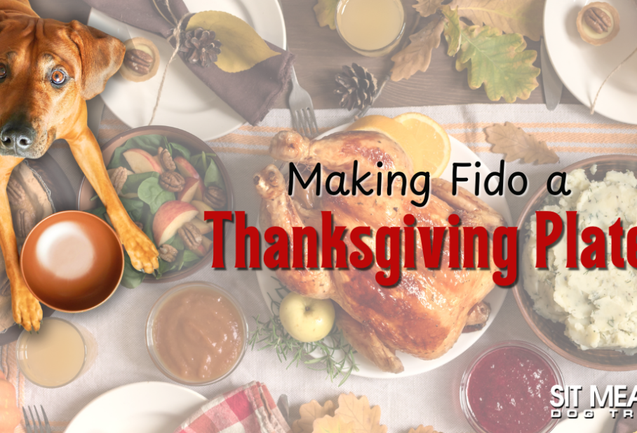 How to Build Fido Their Own Thanksgiving Plate