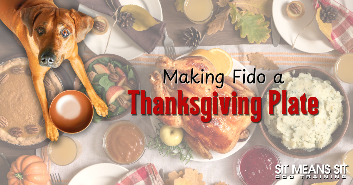 How to Build Fido Their Own Thanksgiving Plate