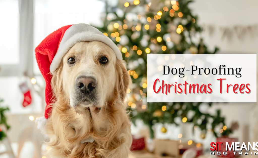 Smart Solutions for Dog-Proofing Your Christmas Tree