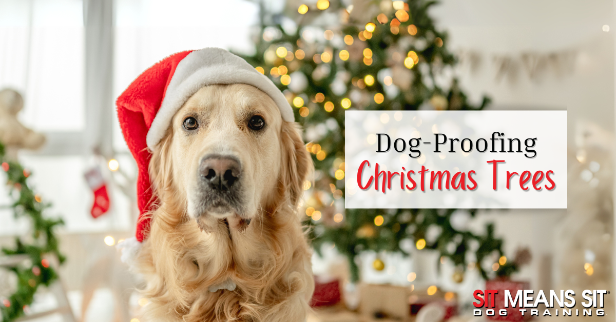 Smart Solutions for Dog-Proofing Your Christmas Tree