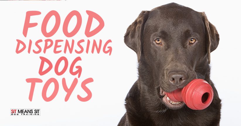 The Benefits of Food Dispensing Dog Toys