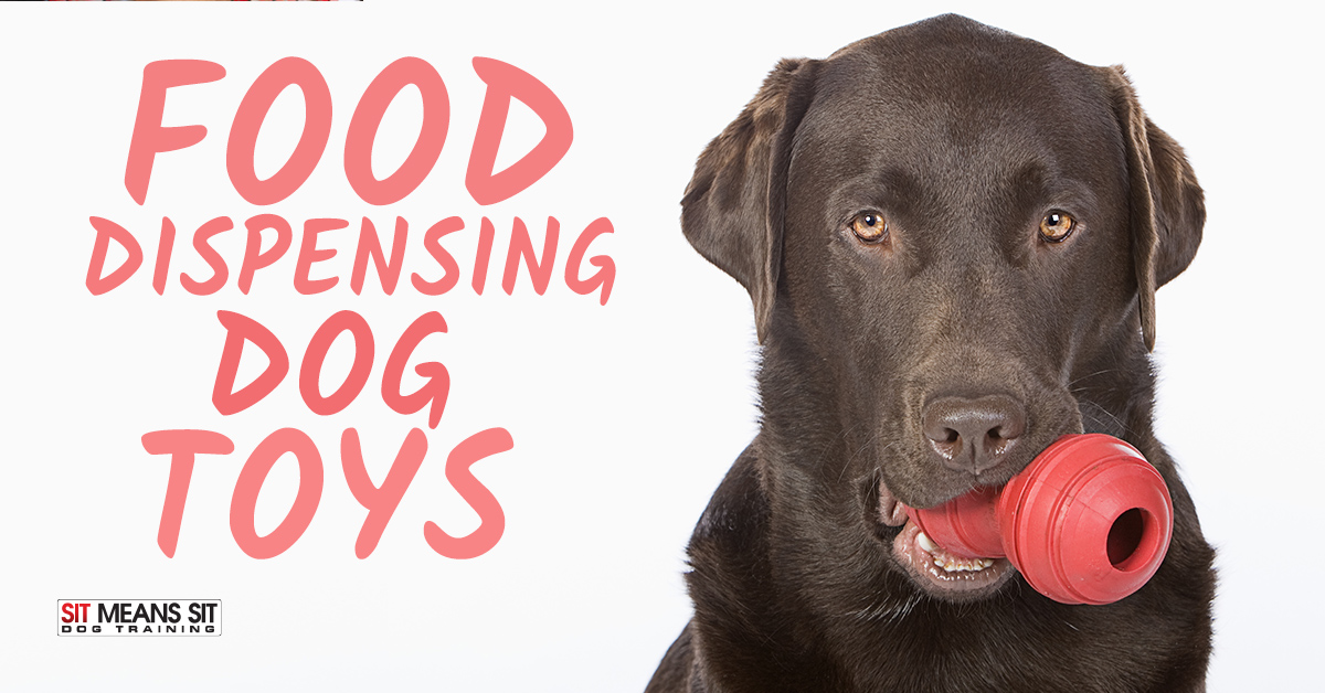 https://sitmeanssit.com/dog-training-mu/orange-county-dog-training/files/2019/08/benefits-of-food-dispensing-dog-toys.jpg