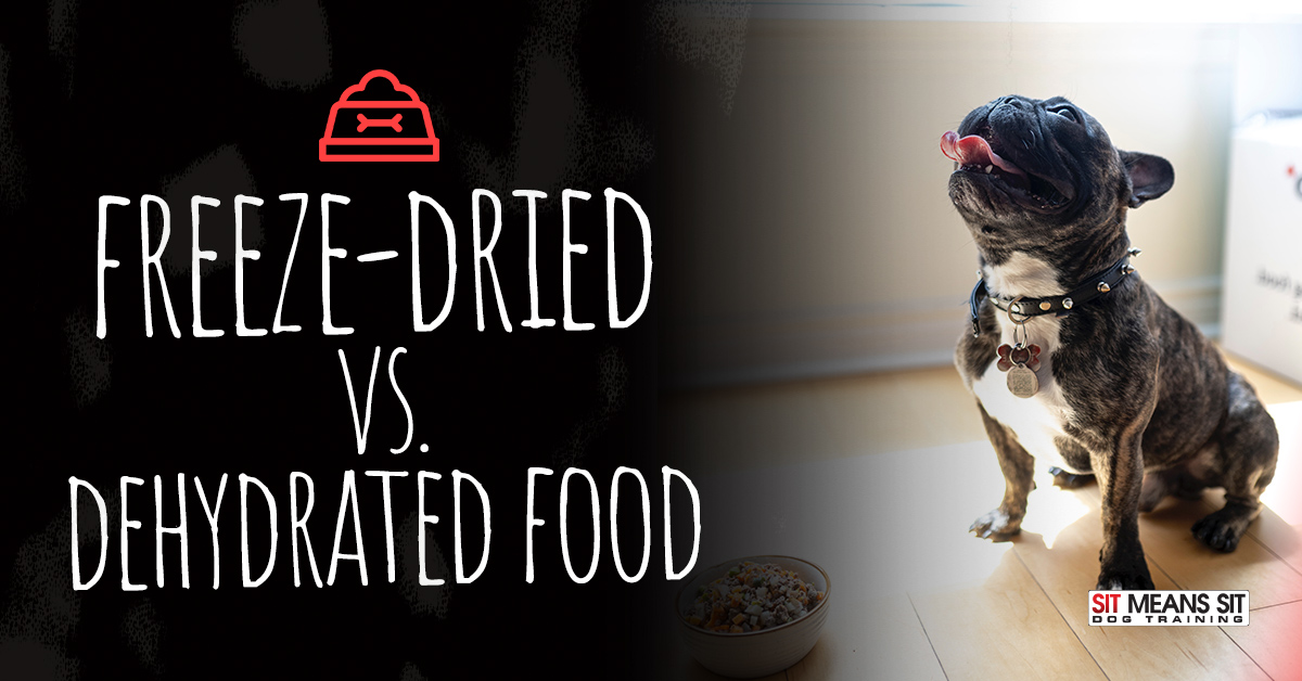 Freeze-Dried Food vs. Dehydrated Food | Sit Means Sit Orange County