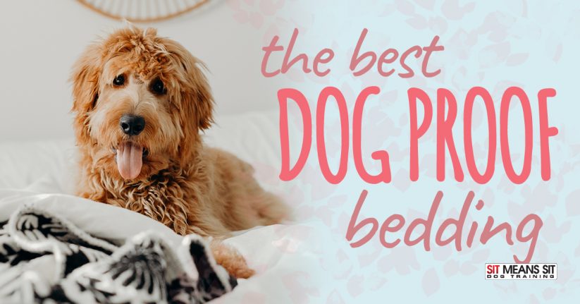 The Best Dog Proof Bedding