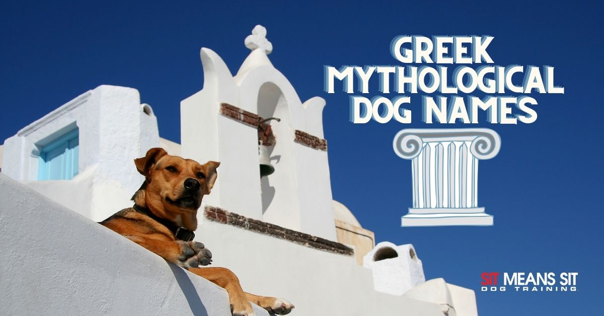 Popular Dog Names from Greek Mythology | Sit Means Sit Orange County