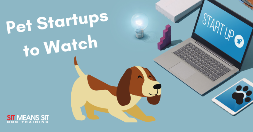 Pet Startups to Watch in 2022