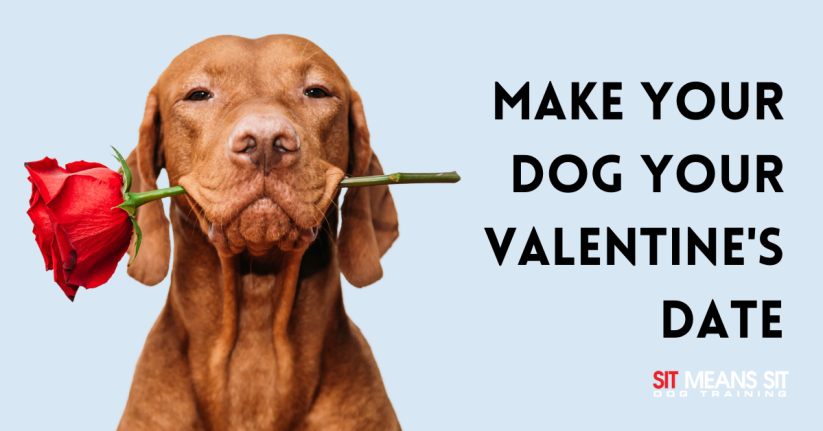 Make Your Dog Your Valentine's Date