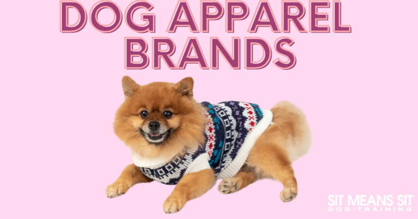 Dog Apparel Brands to Check Out