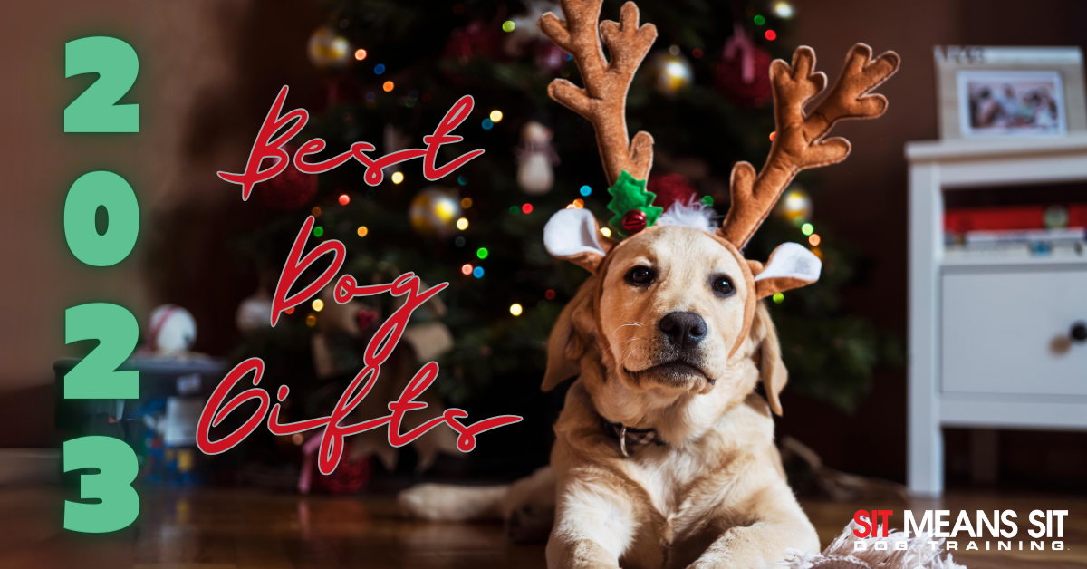 The Best Gifts for Dogs in 2023!