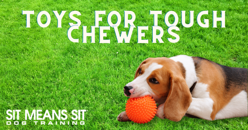 The Best Chew Toys for Tough Chewers