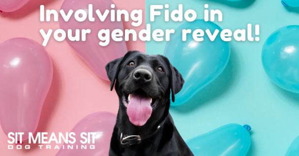 How You Can Include Your Dog in Your Gender Reveal