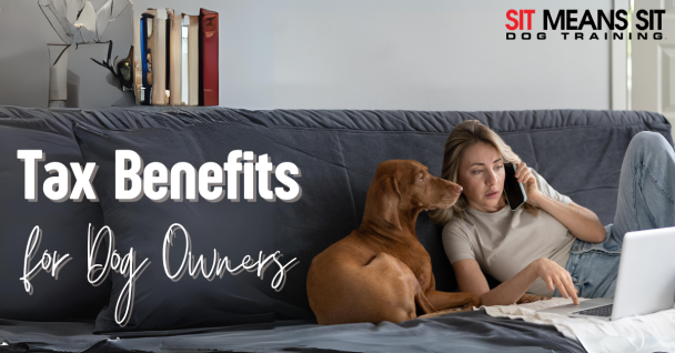 Tax Benefits for Dog Owners: Maximizing Deductions