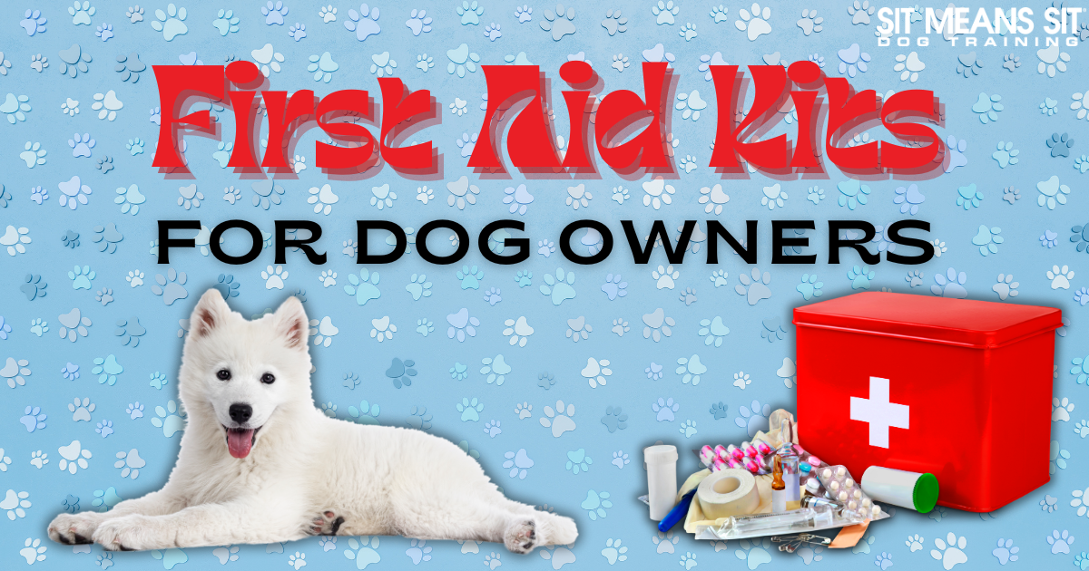 The Best Pre-Packed First Aid Kits for Dog Owners