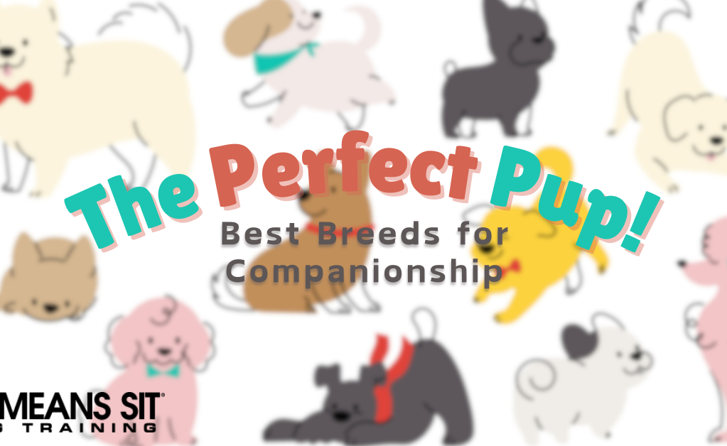 These Dog Breeds Make the Best Companions