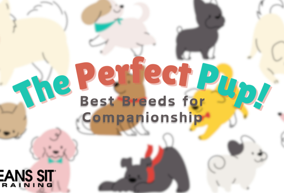 These Dog Breeds Make the Best Companions
