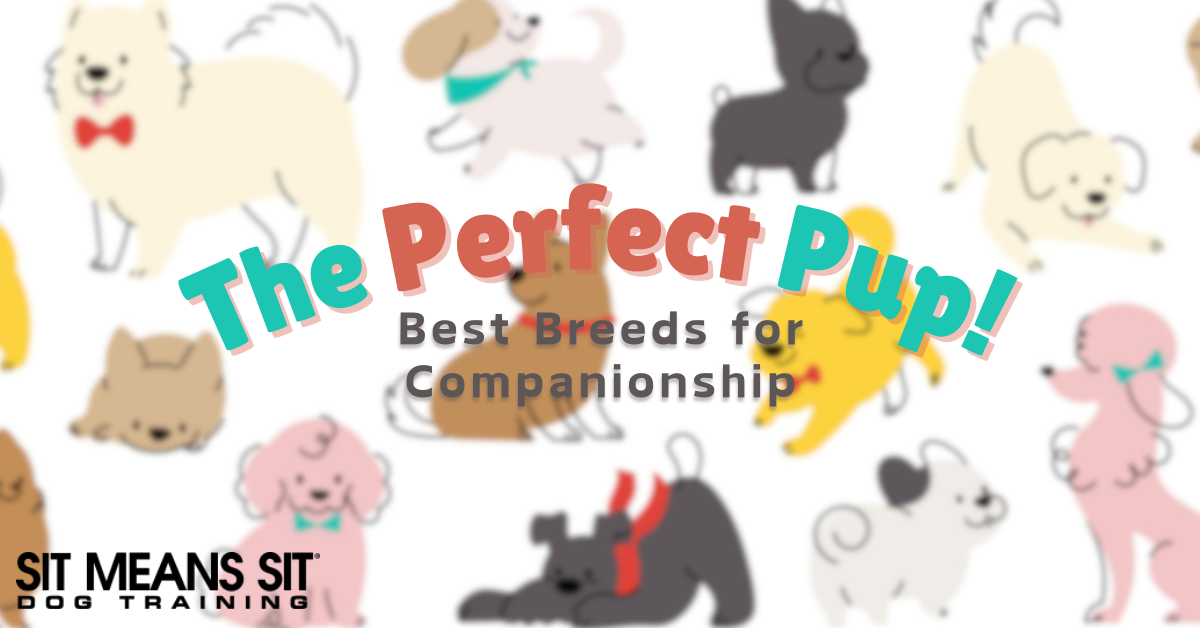 These Dog Breeds Make the Best Companions