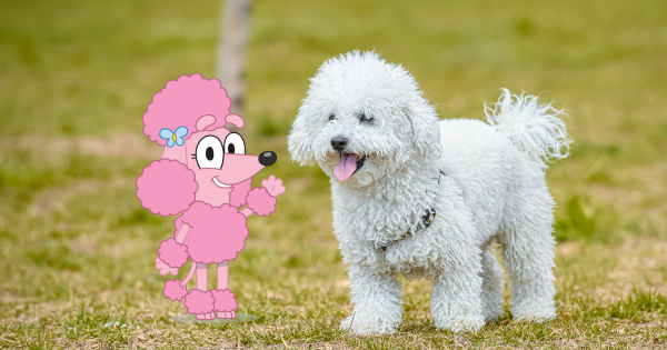 Coco
