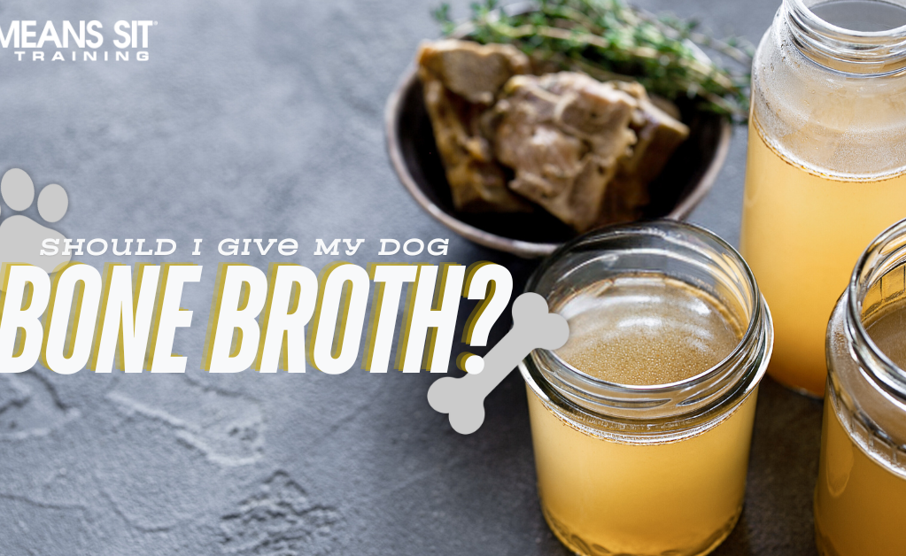 Should I Give My Dog Bone Broth?