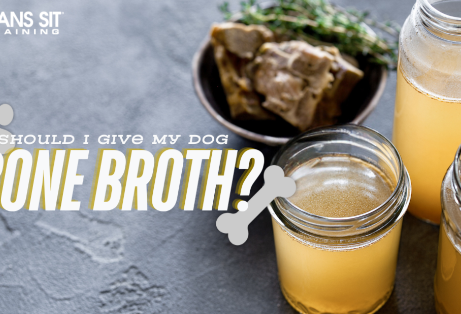 Should I Give My Dog Bone Broth?