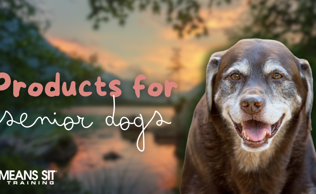 Check Out These Great Products for Senior Dogs