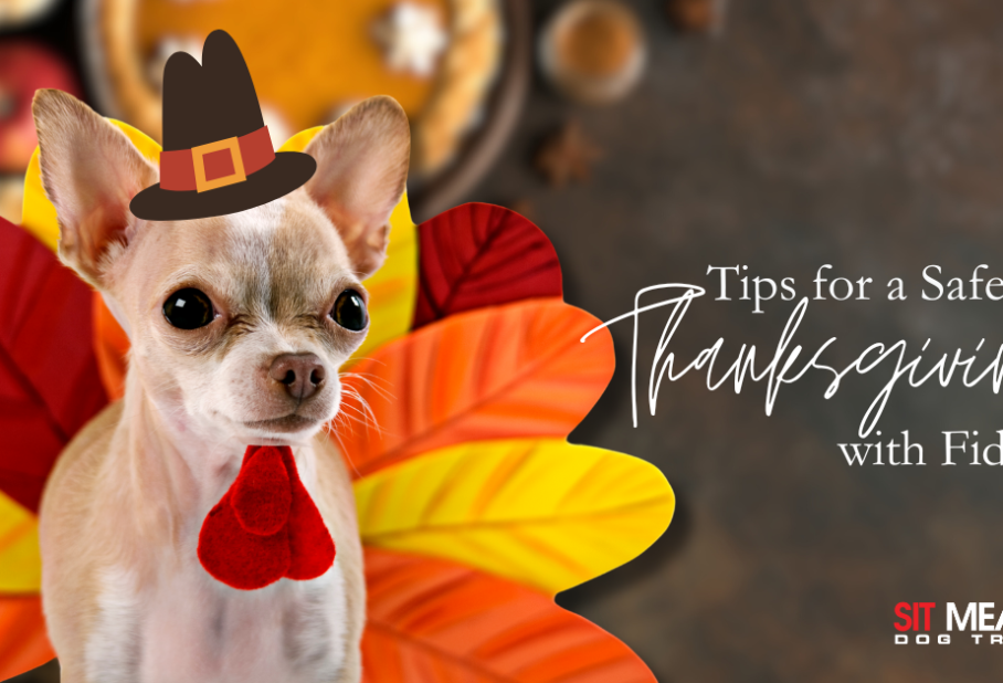 Follow These Tips to Have a Safe Thanksgiving with Fido