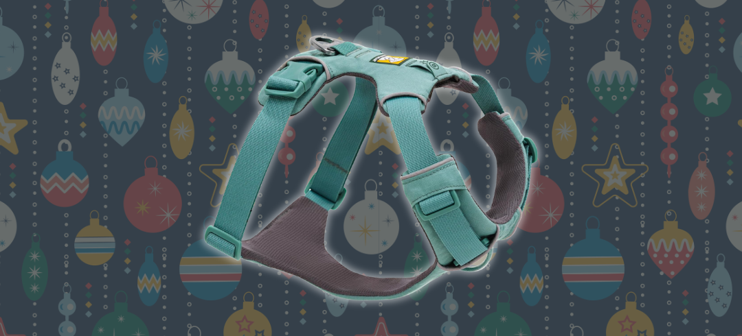 Perfect Presents for Your Pup This Christmas