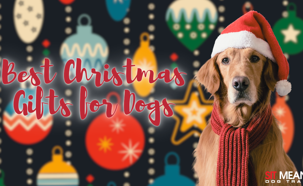 Perfect Presents for Your Pup This Christmas