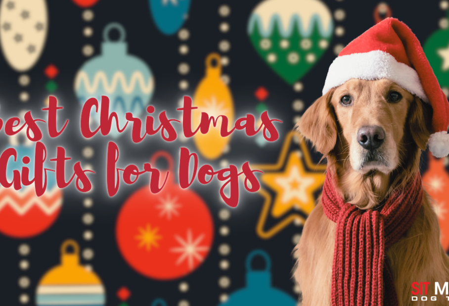 Perfect Presents for Your Pup This Christmas