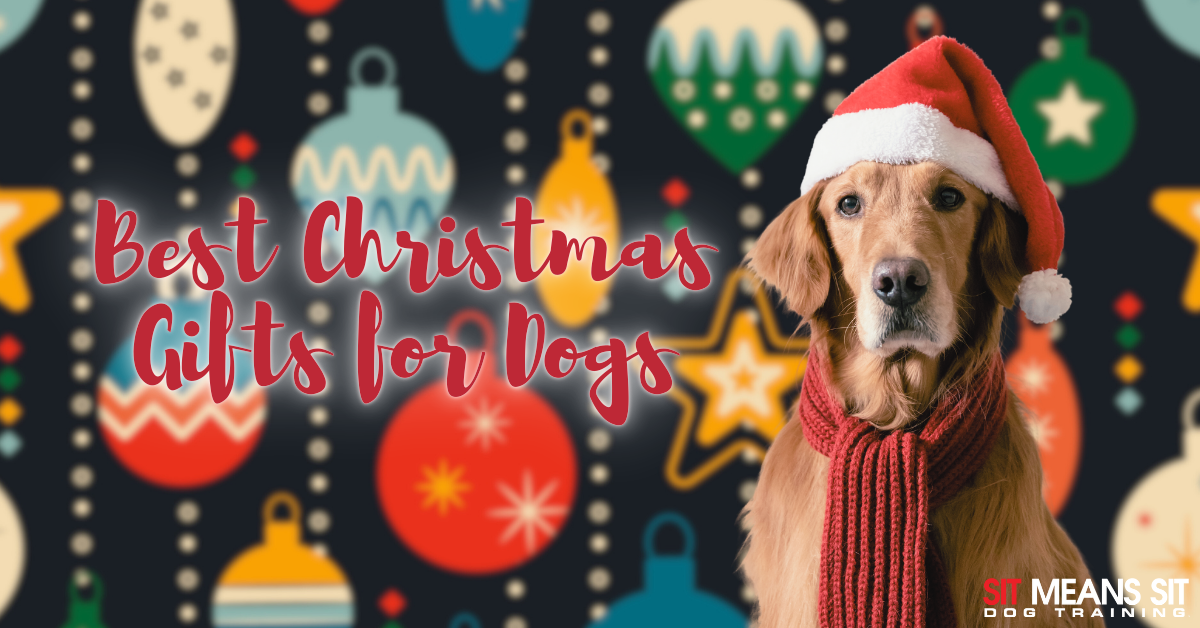 Perfect Presents for Your Pup This Christmas