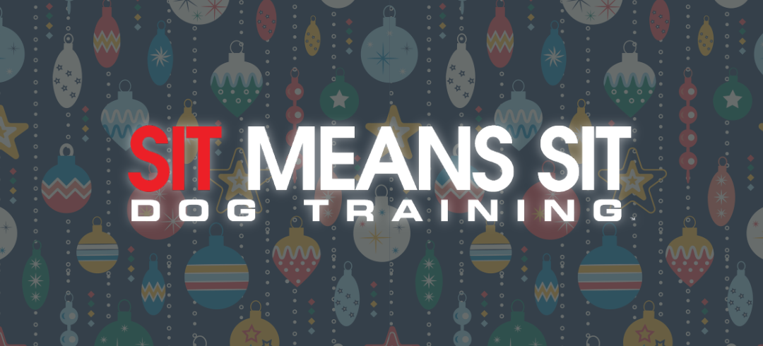 Perfect Presents for Your Pup This Christmas
