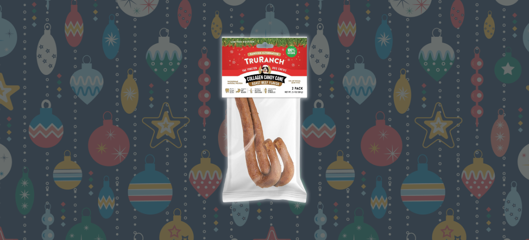 Perfect Presents for Your Pup This Christmas
