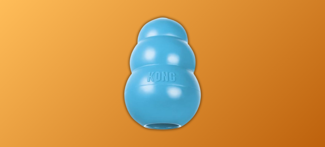 Ultimate Guide to Teething Toys for Puppies