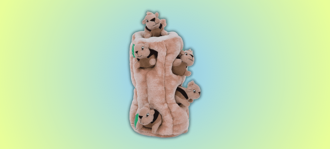 The Most Popular Dog Toys of the Year 